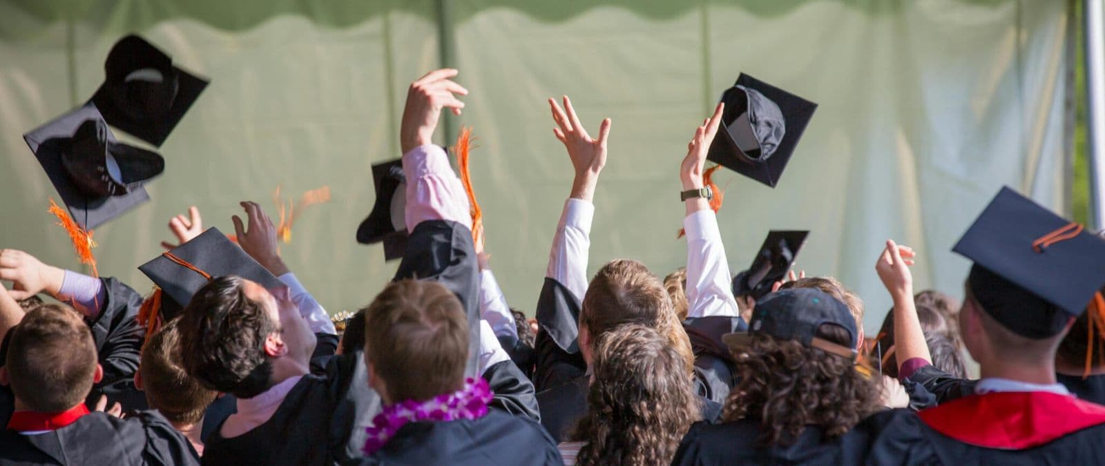 College Bachelor's Degrees
